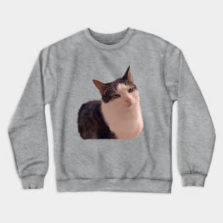 Sarcastic cat rolling eyes meme Crewneck Sweatshirt